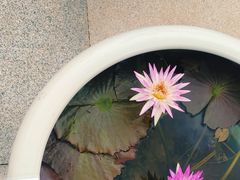 -上海植物园-4号门售票处