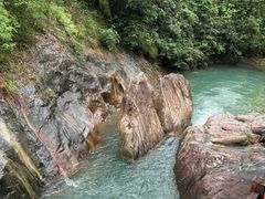 -广州白江湖森林公园