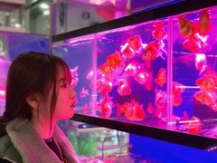 -苏州艺都古玩花鸟市场