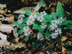 -北京上方山国家森林公园