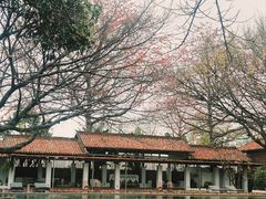 -喜洲吧·江畔老船厂·庭院餐厅(喜临院店)