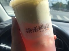 -桃乐满山(川沙百联店)