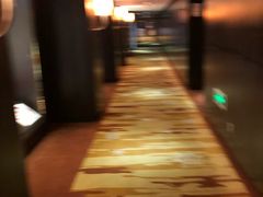 -北京长白山国际酒店(鸟巢店)