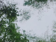 -西湖风景区十里琅珰-五云山