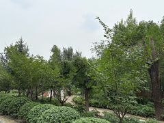-太阳宫公园
