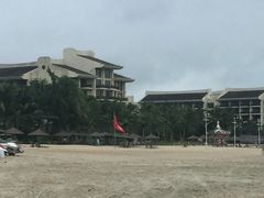 -采悦轩中餐厅·粤菜·海南菜(神州半岛喜来登度假酒店)