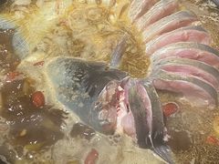 -桃源村铁锅炖鱼(体育馆道店)