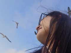 -海驴岛(荣成市)
