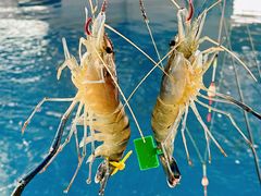 -SHRIMP CLUB万东餐饮钓虾·清吧