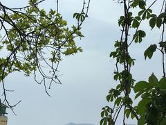 -青岛市江苏路基督教堂