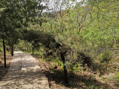 -北京十三陵国家森林公园蟒山景区