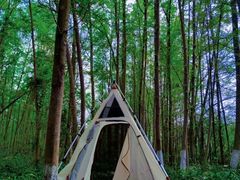 -桤木河湿地公园