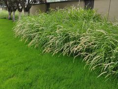 -汉长安城未央宫国家考古遗址公园