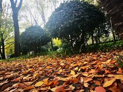 -唐城墙遗址公园