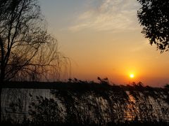 -南湖湿地公园