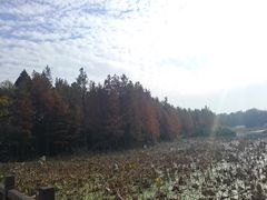 -云龙湖旅游景区