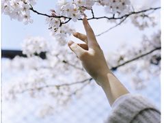-上海辰山植物园