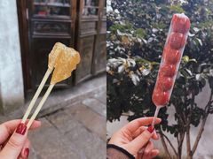 -惠山古镇·寄畅园