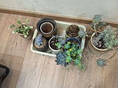 -蚂蚁搬家成都打包搬运公司