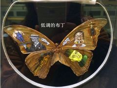 -信不信由你博物馆