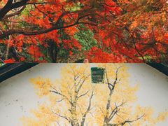 -莫干山风景区