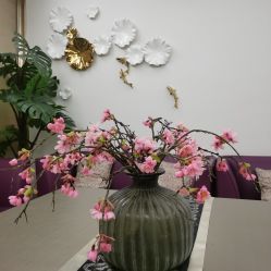 -女王传奇SPA·美容美体