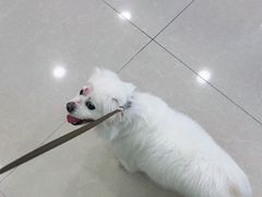 -佳雯宠物医院(四明中路分院)