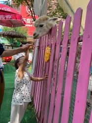 -萌宠亲子动物乐园(槐房万达店)