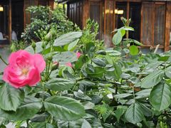 -大妙火锅·非物质文化遗产(东湖公园店)