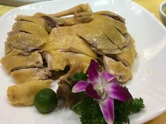 白切文昌鸡-顺丰轩园林酒家(天河店)
