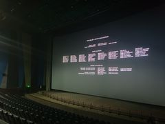 -天幕新彩云国际影城(激光巨幕店)