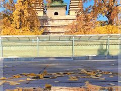 -北京石刻艺术博物馆(五塔寺)