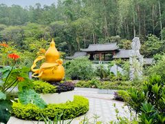 -广州神农草堂中医药博物馆