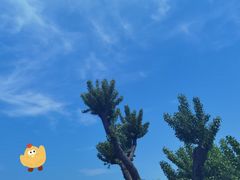 -蓬莱阁景区