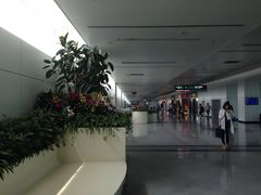 -福州长乐国际机场