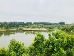 -东郊湿地公园