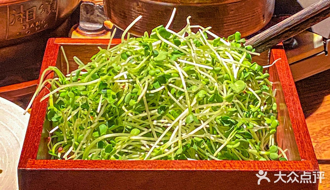 值得N刷的湘菜·湘颂丨稻田里的盛宴🌾