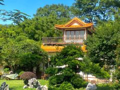 -深圳仙湖植物园