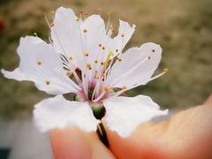 -悸动(吴泾宝龙广场店)