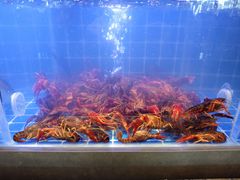 -厦门宝龙铂尔曼大酒店·海鲜自助餐厅