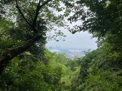 -紫金山山顶公园