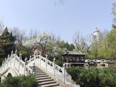 -宣武艺园