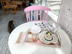 -喵屿·大理花园猫咖