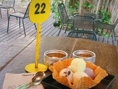 -莓园冰淇淋店