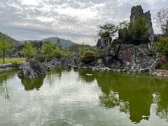 -千岛湖石林