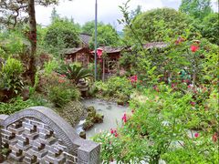 -青城甲(青城山店)