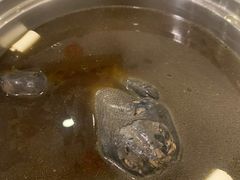 -太婆天府山珍酒楼(亚运村店)