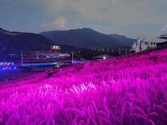 -瓷天下海丝谷