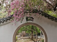 -深圳国际园林花卉博览园