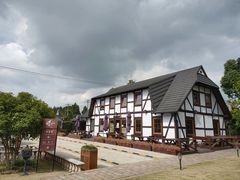 -金山农民画村-枫泾波兰倒置屋